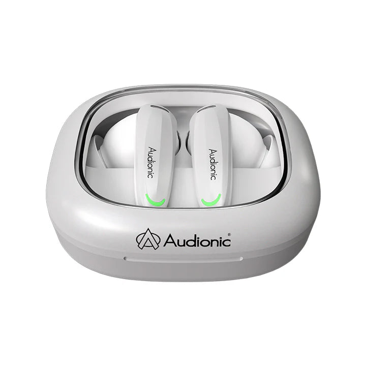 Airbud 735 Ion with ANC